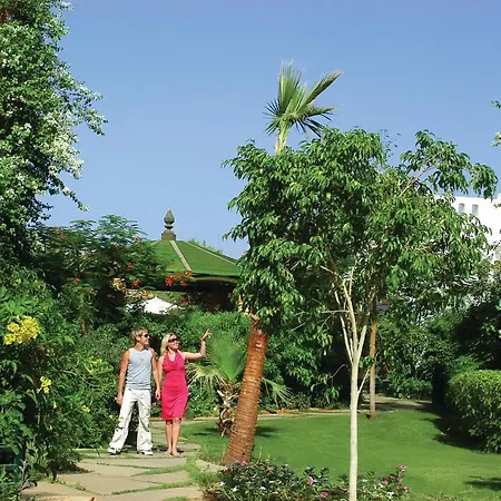 Delta Sharm Resort ,Official Web, Delta Rent, Sharm El Sheikh, South Sinai, Egypt-2